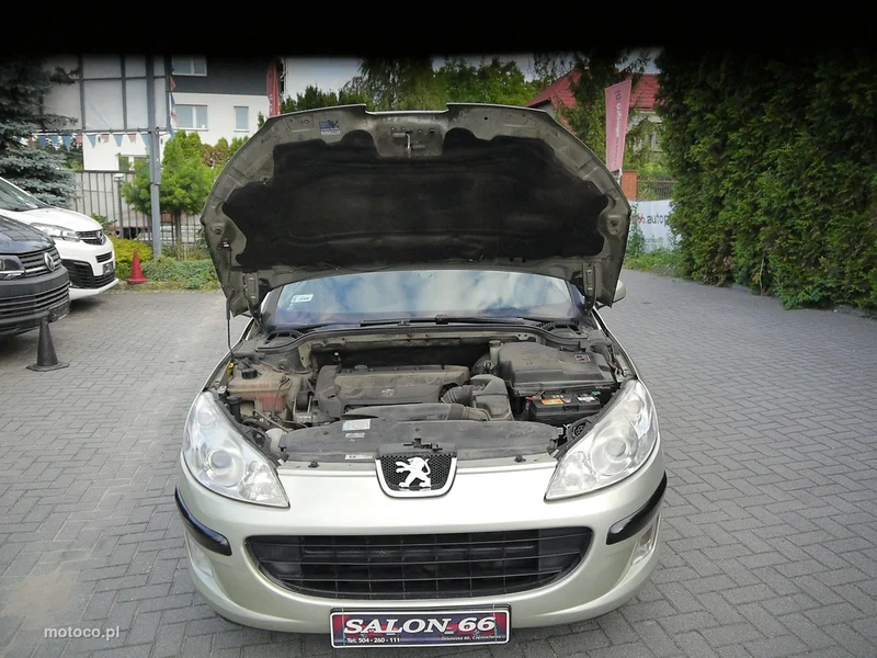 Peugeot 407 14