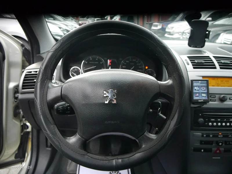Peugeot 407 16