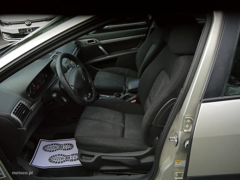 Peugeot 407 22