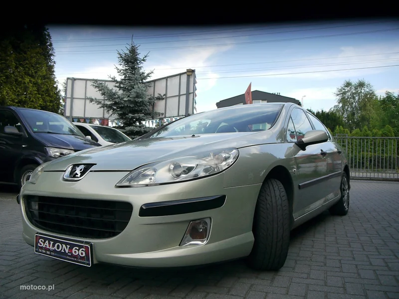 Peugeot 407 6
