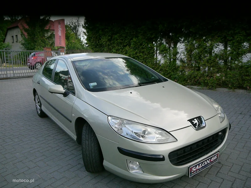 Peugeot 407 7