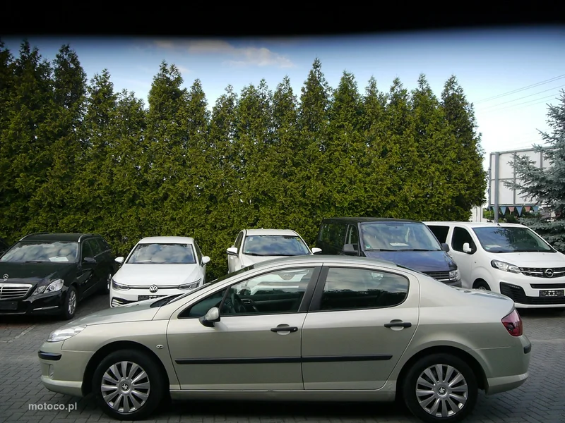 Peugeot 407 9