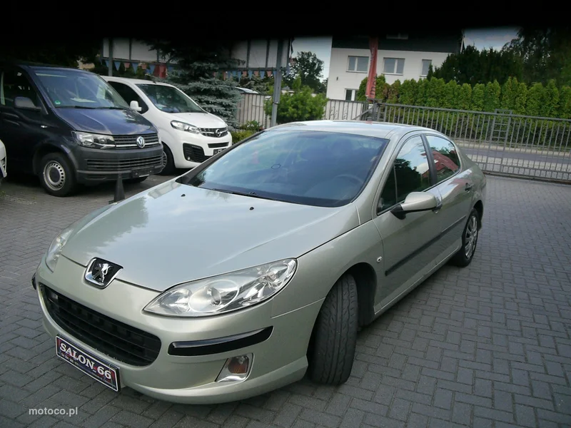 Peugeot 407 10