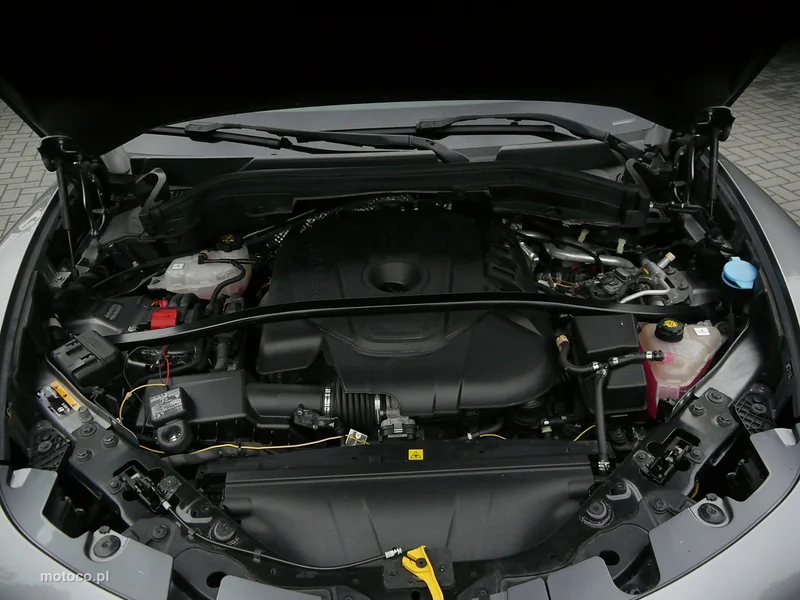 Alfa Romeo Stelvio 42