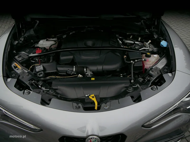 Alfa Romeo Stelvio 43