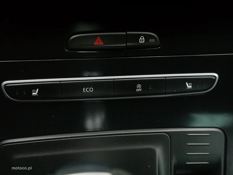 Renault Scenic IV 38