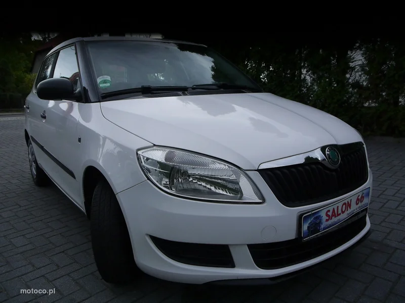 Skoda Fabia II 16