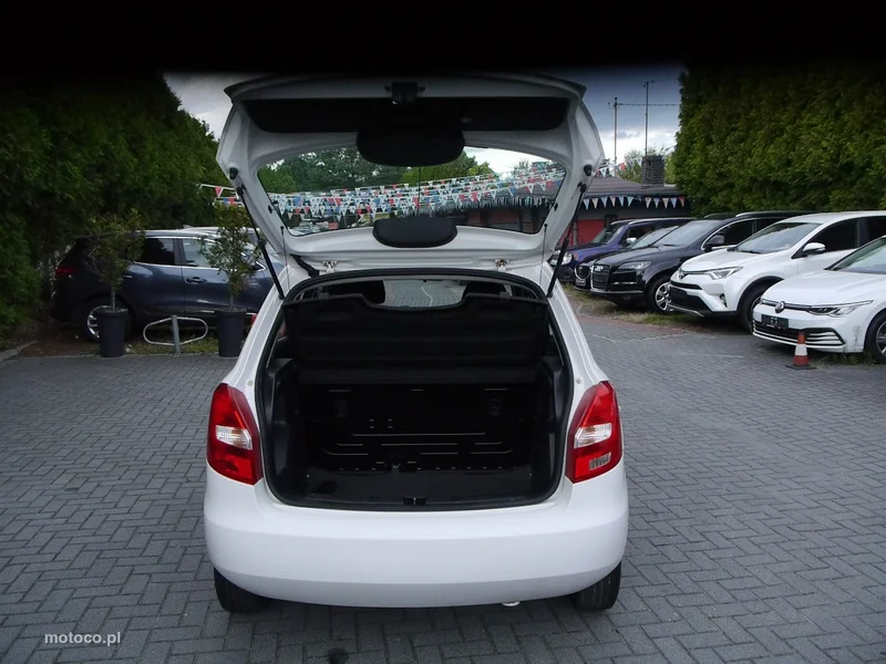 Skoda Fabia II 18