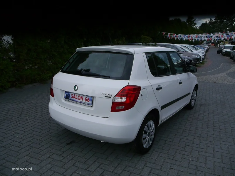 Skoda Fabia II 5