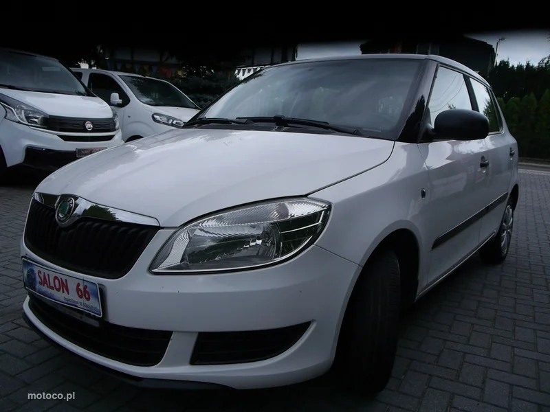 Skoda Fabia II 8