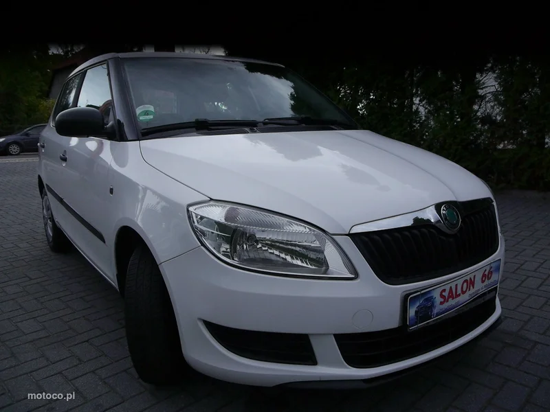 Skoda Fabia II 9