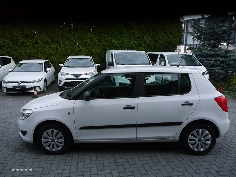 Skoda Fabia II 10