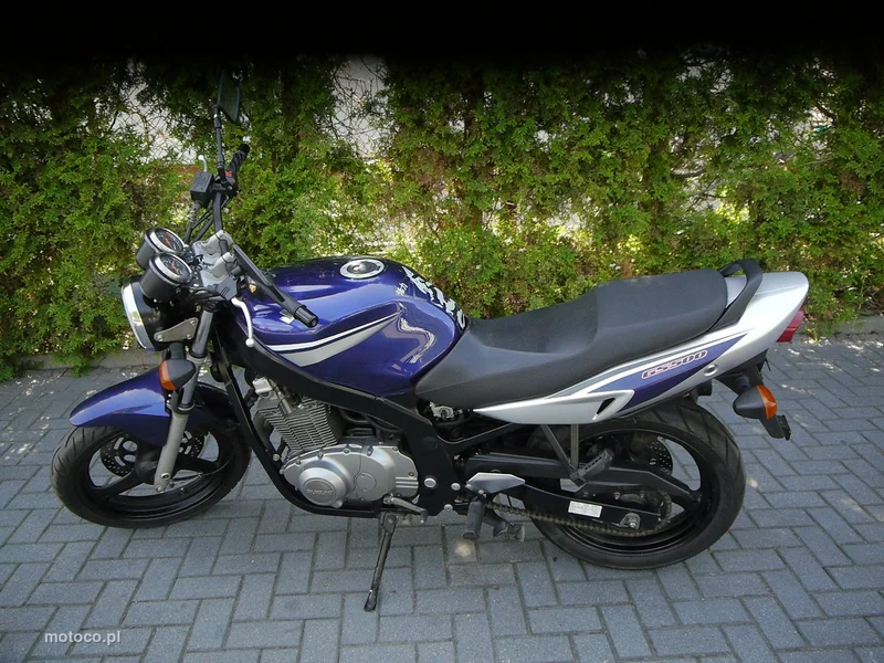 Suzuki GS 3