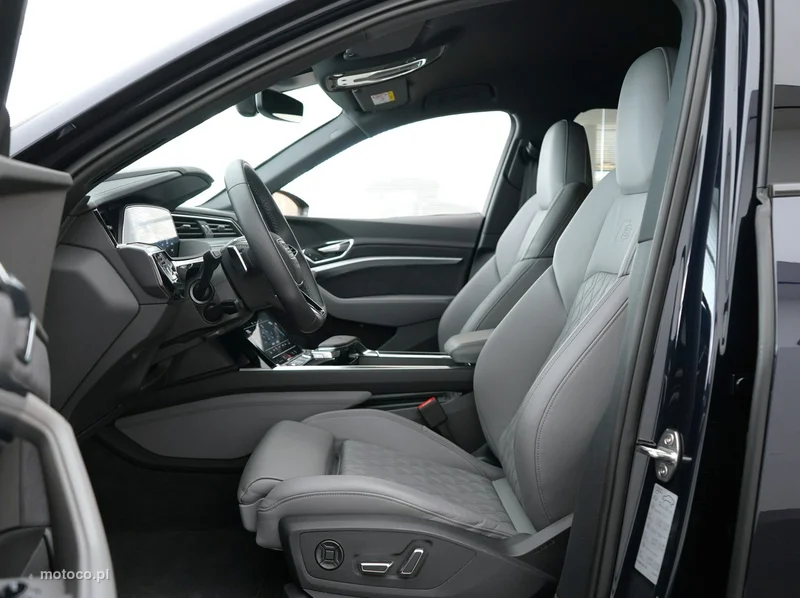 Audi e-tron 13