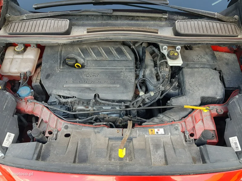 Ford C-Max II 18