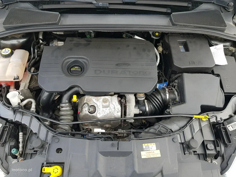 Ford Focus III 19