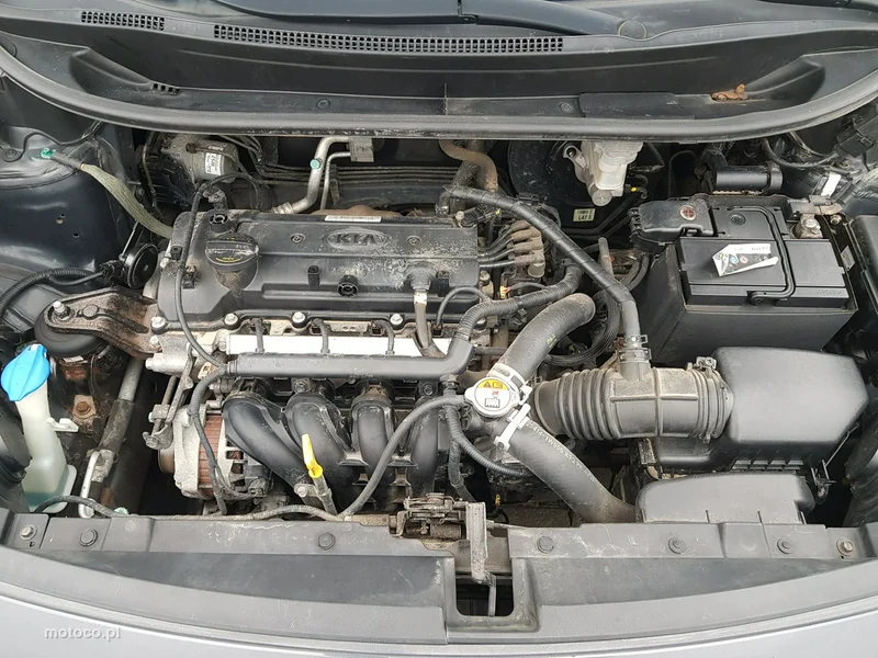 Kia Rio 17
