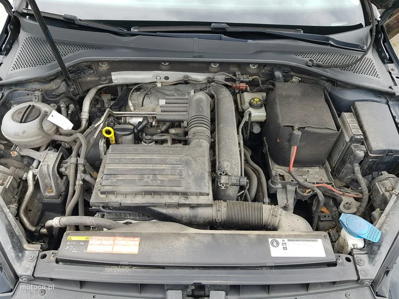 Volkswagen Golf VII 18