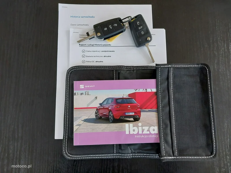 Seat Ibiza 22