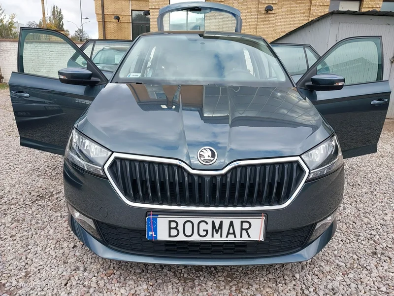 Skoda Fabia III 11
