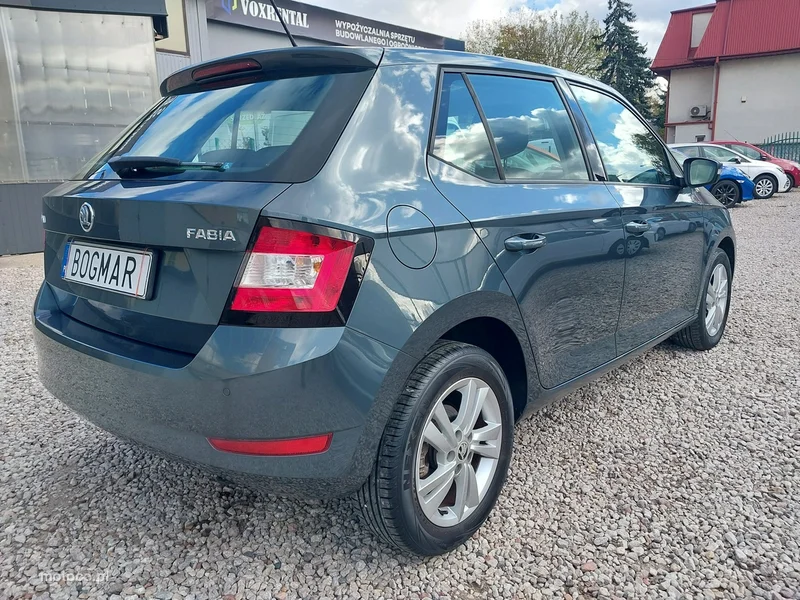 Skoda Fabia III 8