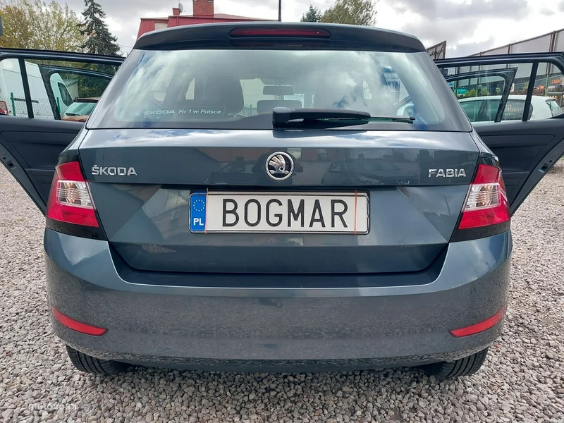 Skoda Fabia III 10