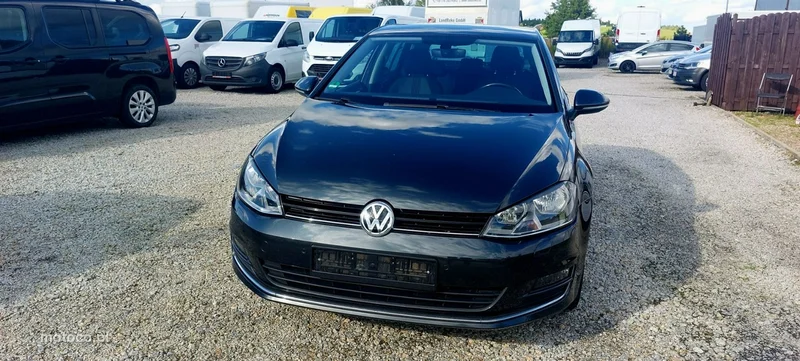 Volkswagen Golf VII 2