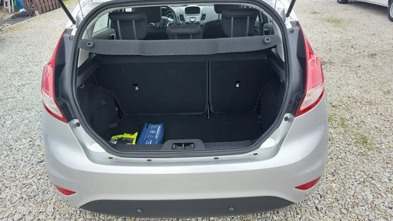 Ford Fiesta VI 9