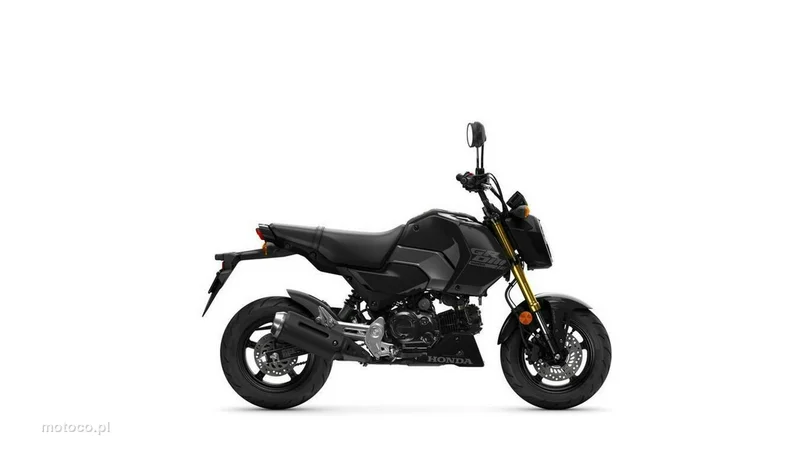 Honda MSX 125 5