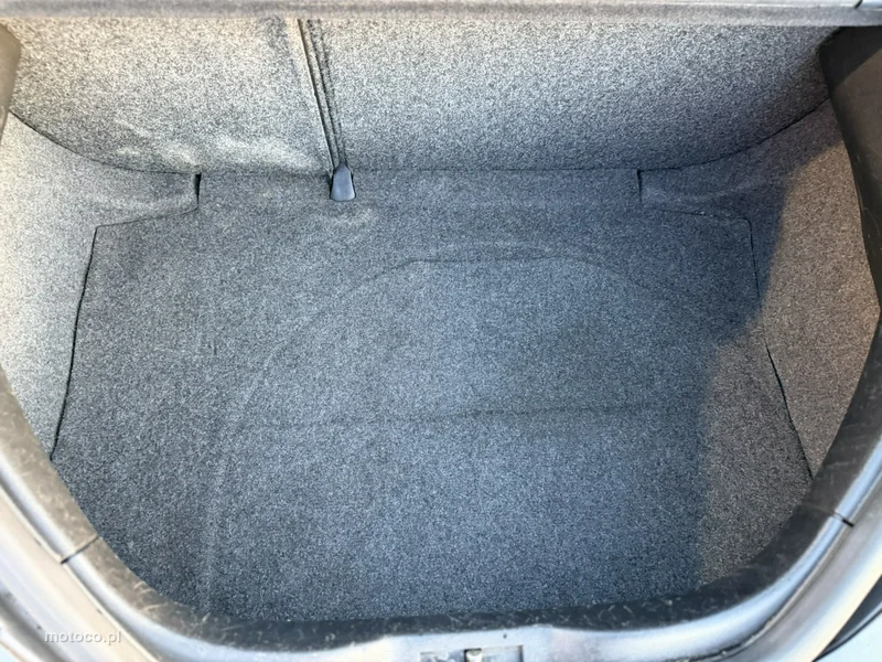 Volkswagen New Beetle 24