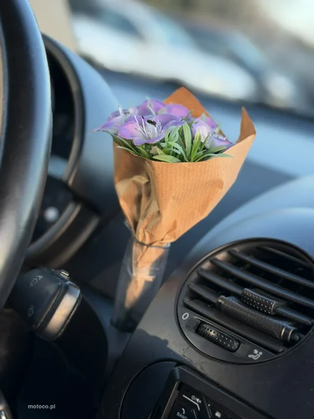 Volkswagen New Beetle 28