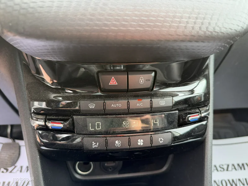 Peugeot 2008 21