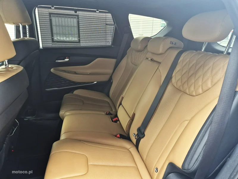 Hyundai SANTA FE 16