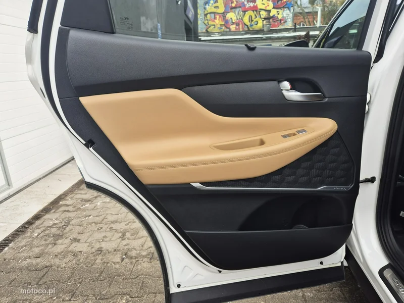 Hyundai SANTA FE 17