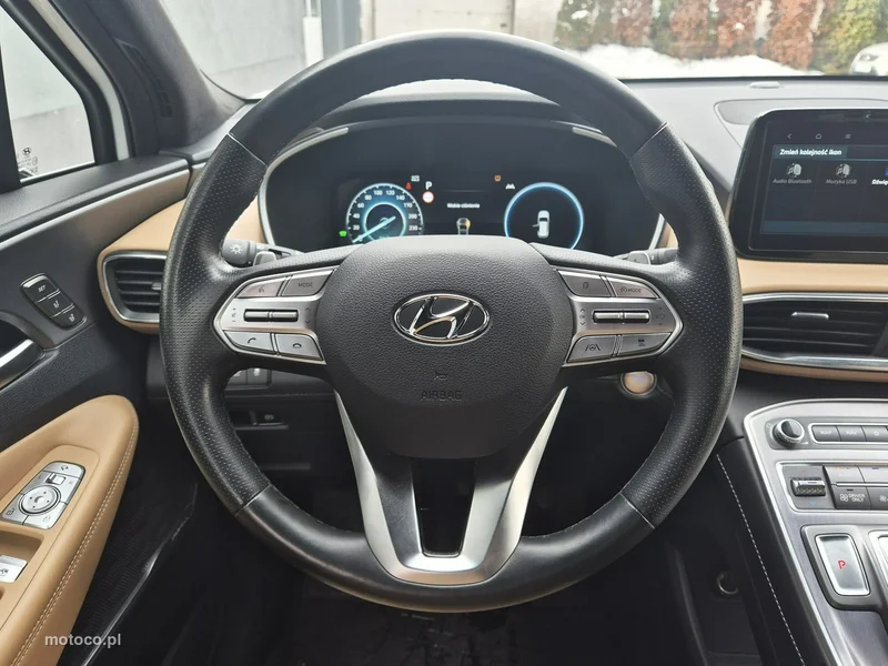 Hyundai SANTA FE 49