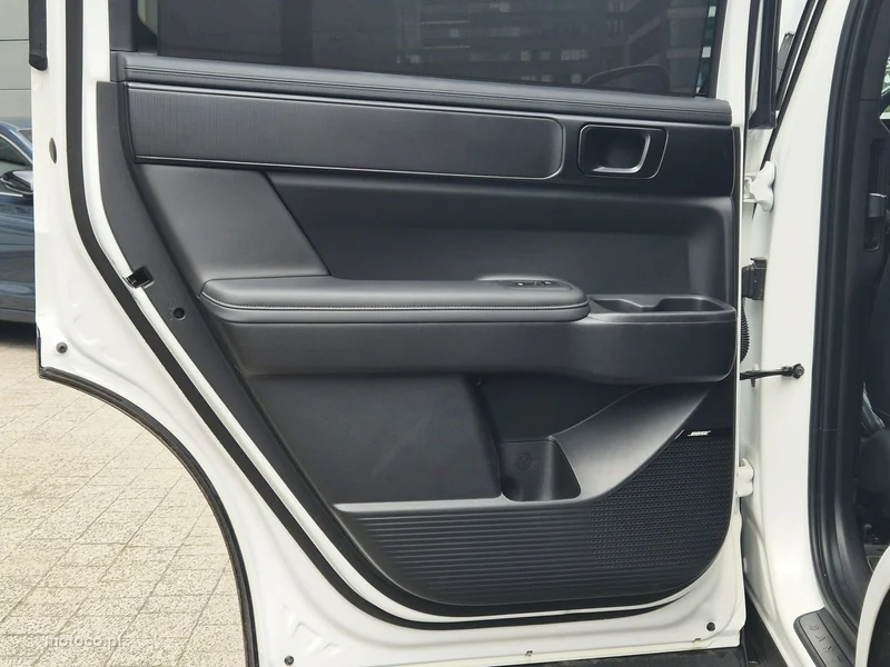 Hyundai SANTA FE 17