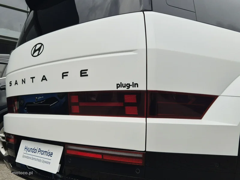 Hyundai SANTA FE 19