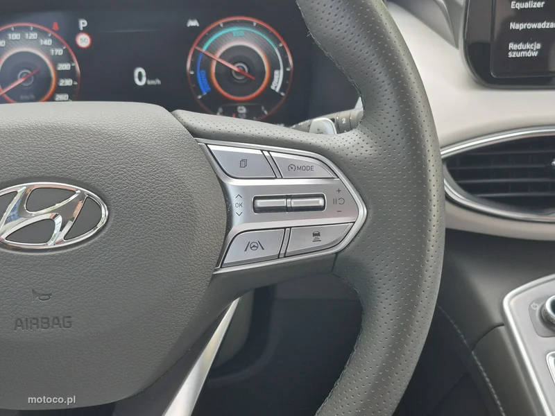 Hyundai SANTA FE 31