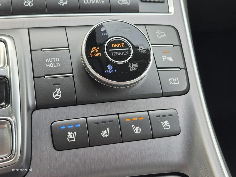 Hyundai SANTA FE 33