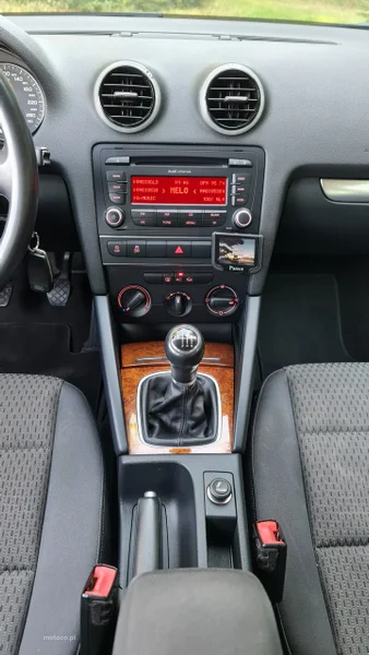 Audi A3 8P 17