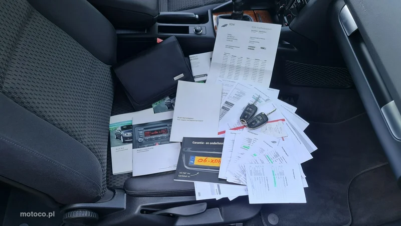 Audi A3 8P 24