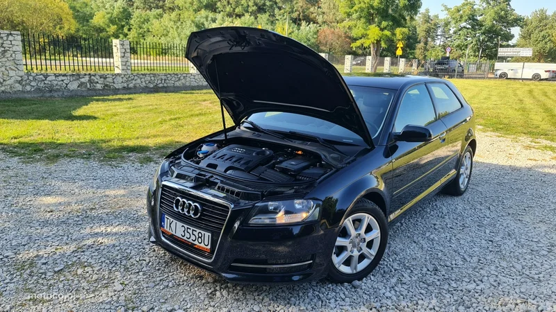 Audi A3 8P 29