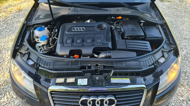 Audi A3 8P 30