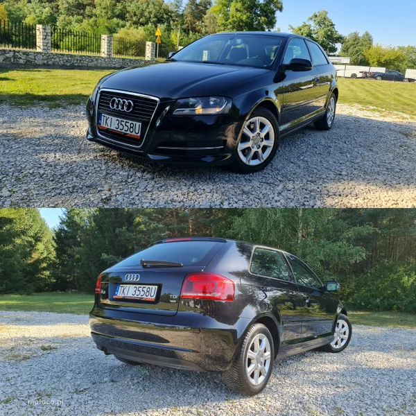Audi A3 8P 41