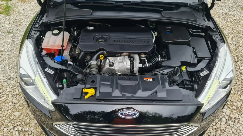 Ford Focus III 30