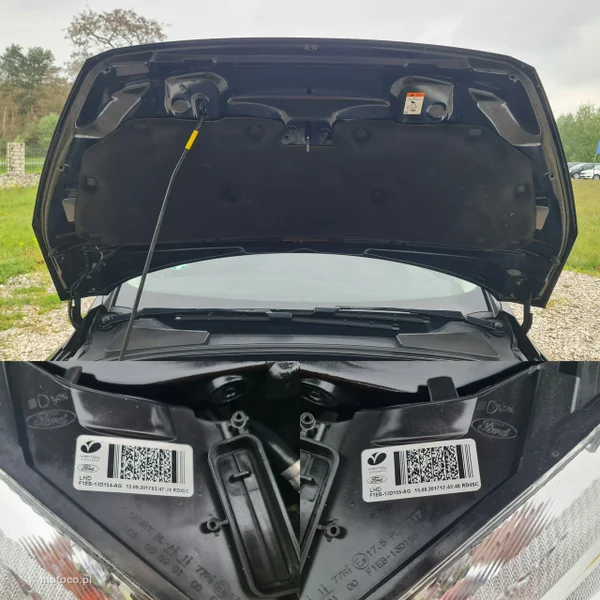Ford Focus III 31