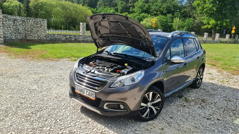 Peugeot 2008 31