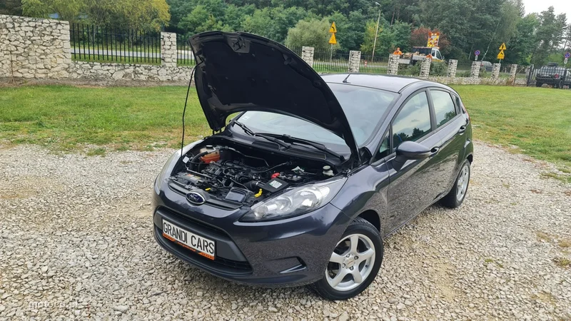 Ford Fiesta VI 28