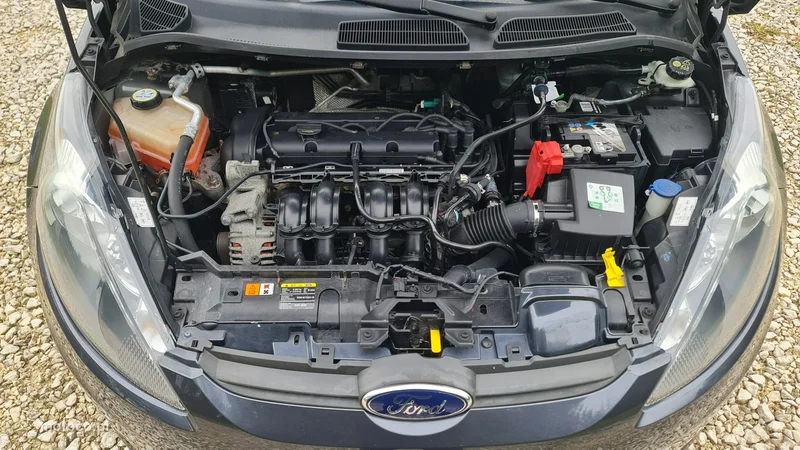 Ford Fiesta VI 29