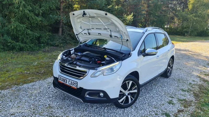 Peugeot 2008 31
